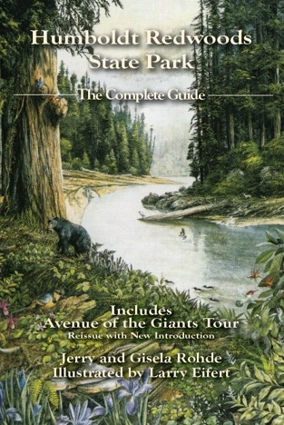 Humboldt Redwoods State Park