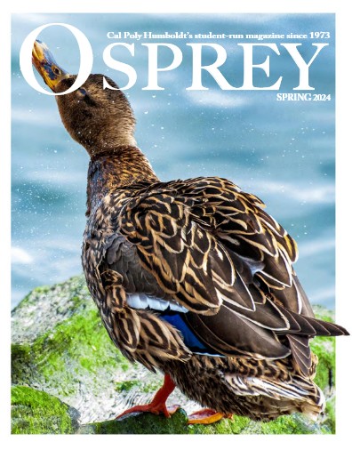 Osprey Magazine