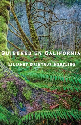 Quibres in California book
