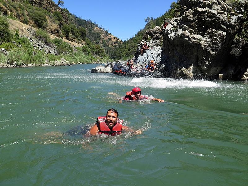 bear swimming