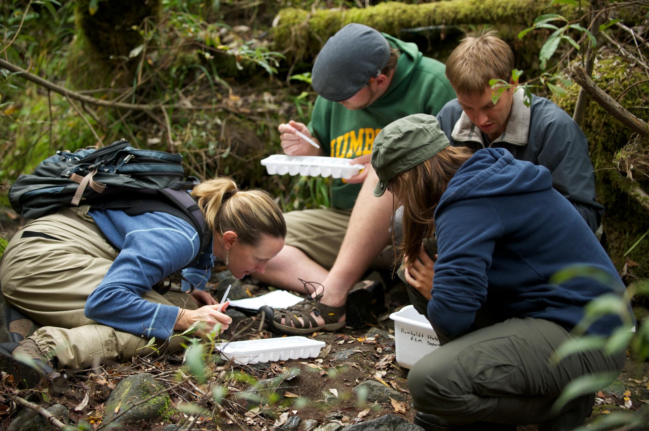 Dr. Alison O'Dowd examines river samples with Humboldt students.
