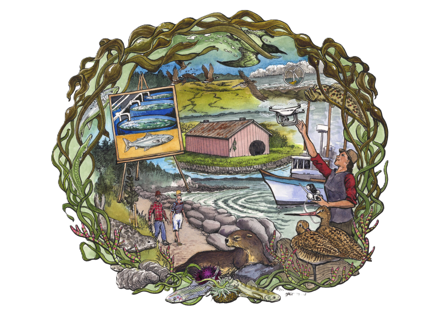 Graphic art depicting marine wildlife, Tuluwat, coastal recreation, and marine research. Image framed by kelp and coastal scenery.