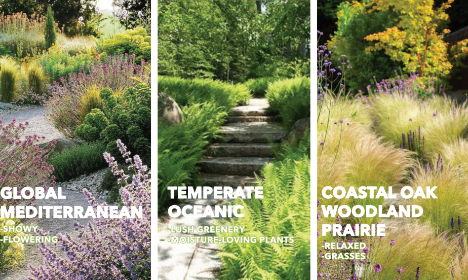 Three individual images of different types of shrubs and bushes, labeled by their description. One's text reads "Global Mediterranean: Showy, Flowering." The next shows "Temperate Oceanic: Lush Greenery, Moisture-Loving Plants." The final image reads, "Coastal Oak Woodland Prairie: Relaxed, Grasses."