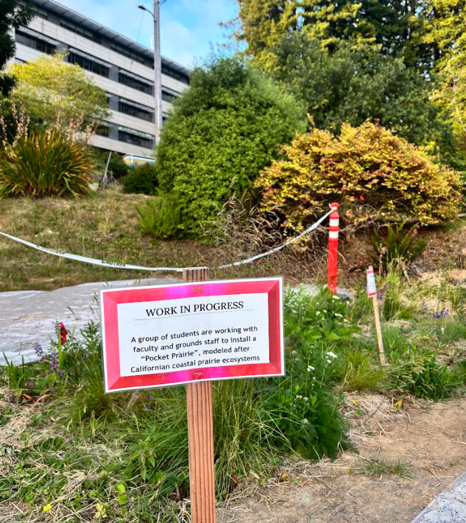 Sign in front of pocket prairie reads, "WORK IN PROGRESS: A group of students are working with faculty and grounds staff to install a, "Pocket Prairie", modeled after Californian coastal prairie ecosystems."