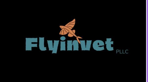 Flyinvet, PLLC logo