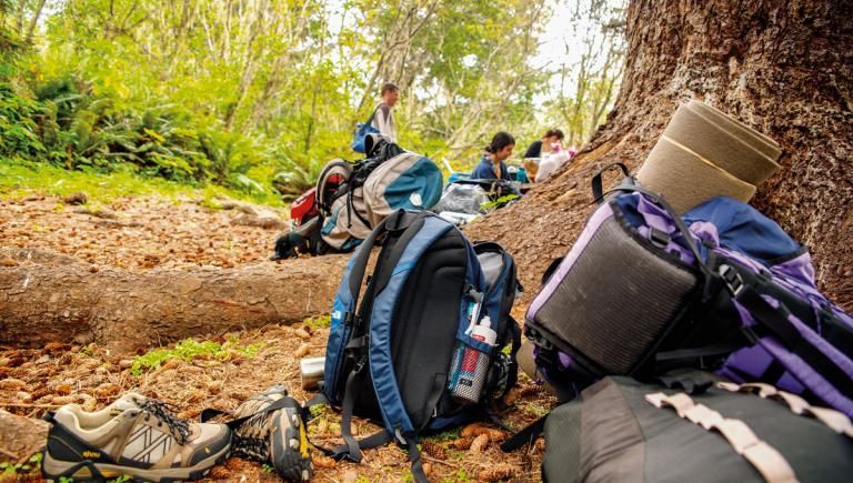 backpacks sitting next to a tree