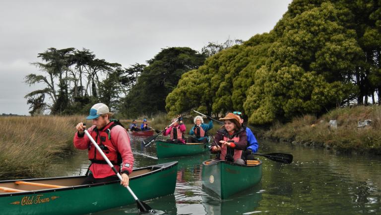 Four Canoes with two people onboard paddling through a narrow water way.