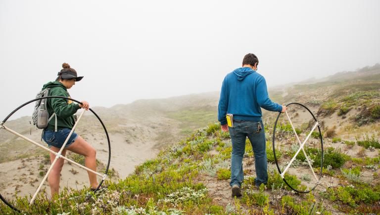 Student measuring distance on the Ma-le'l Dunes