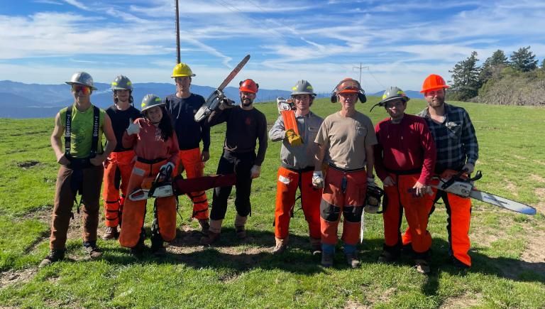 Redwood Region RISE - Career Pathways - Catalyst funding California Jobs First - Trees Foundation
