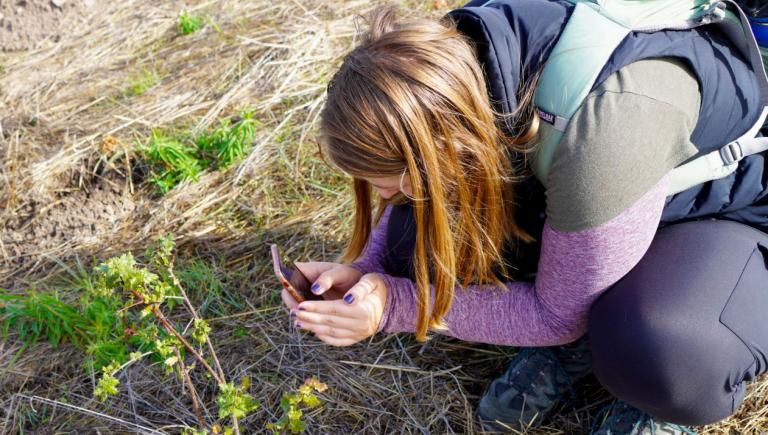 Student photographing a plant
