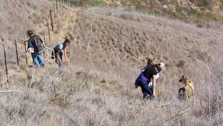 Students working near fence on hillside grasslands