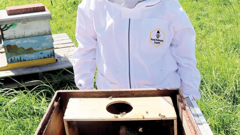 beekeeper inspecting hive