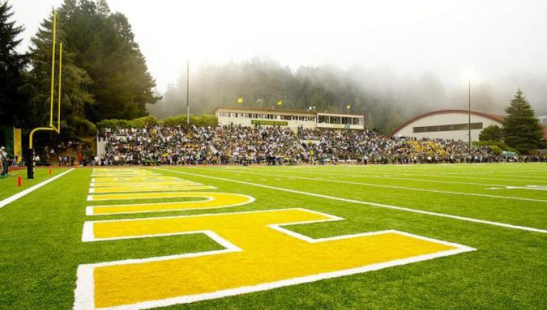 Field