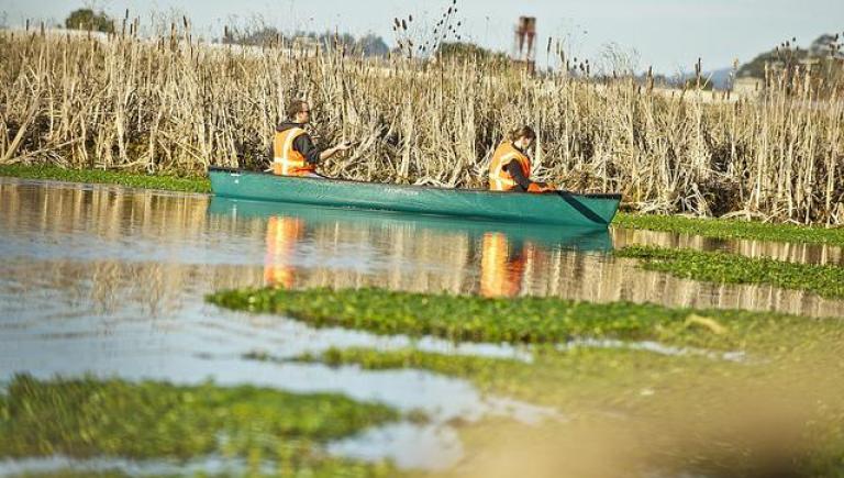 canoe