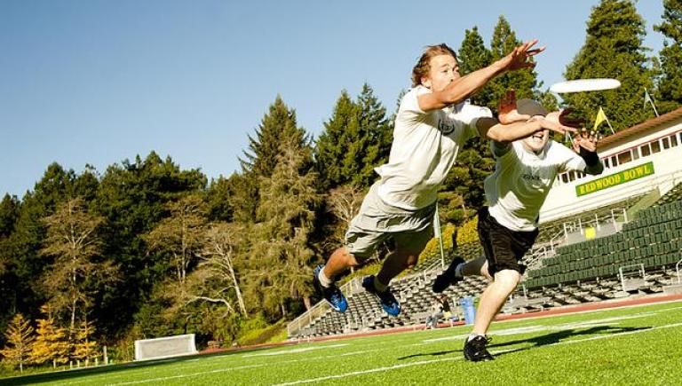 Frisbee
