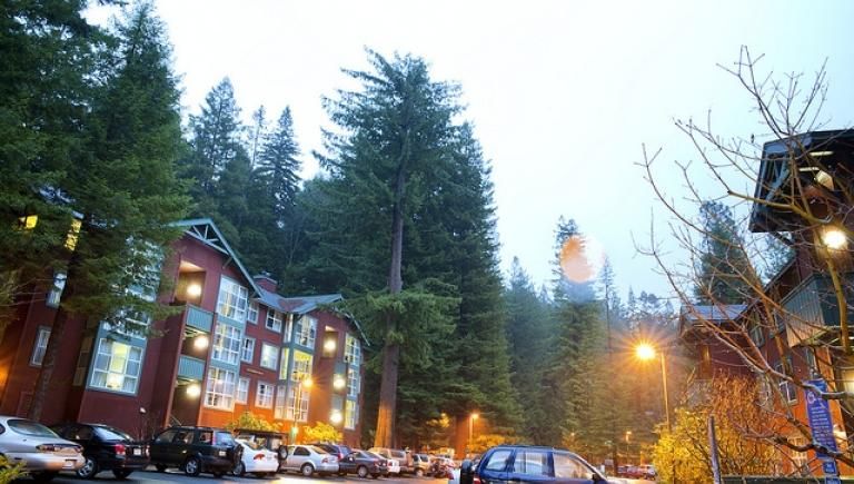 Dorms