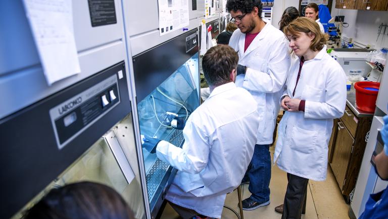 A group of students in a lab