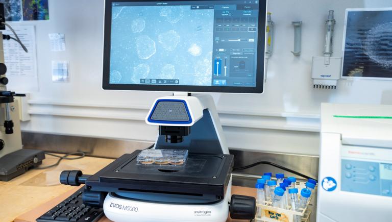 EVOS M5000 Microscope 