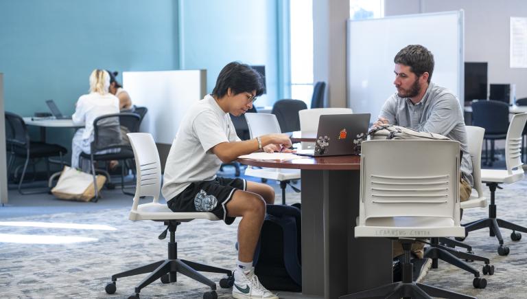 Professor working with a student