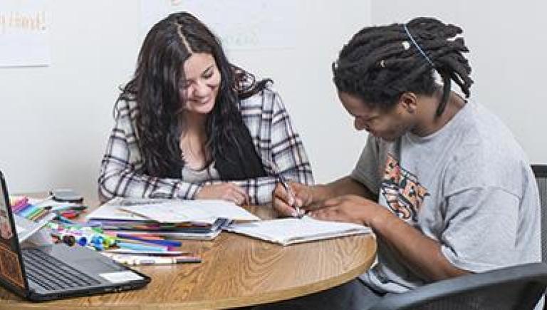 image of 2 people studying