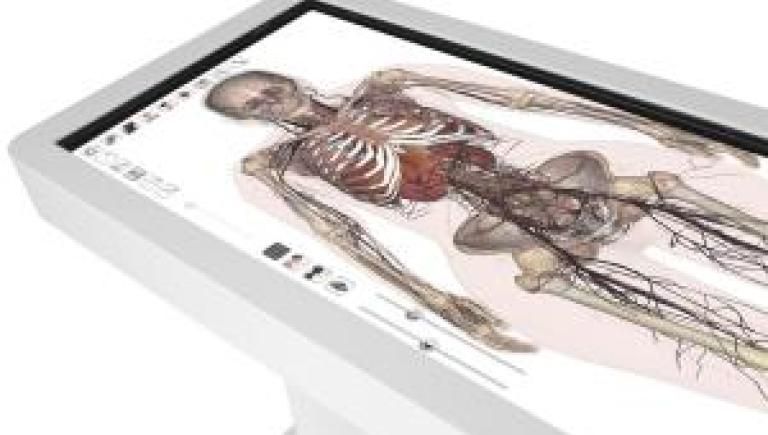 A marketing image of a human skeleton shown on the Anatomage digital dissection table.