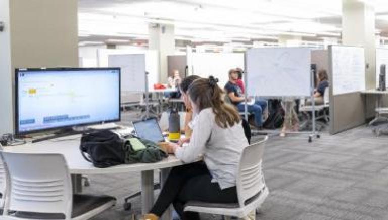photo of student working at computer station
