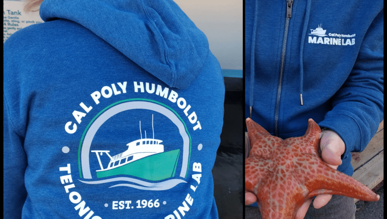 marine_lab_sweatshirt