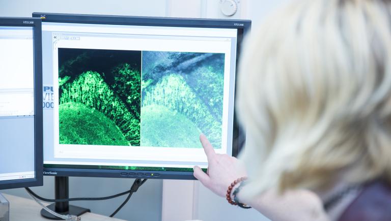 student with blond hair pointing at a screen with a microscopic image on it
