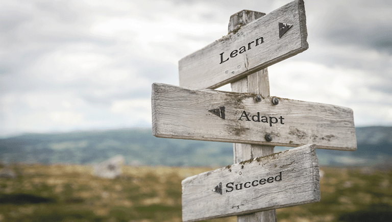 learn adapt succeed