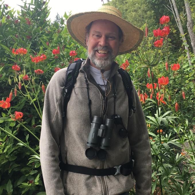 Portrait of Mark Wilson Ph.D.