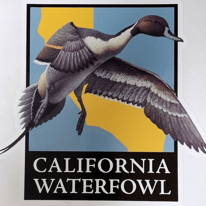 Portrait of California Waterfowl Association Student Chapter of Cal Poly Humboldt (RSOs)