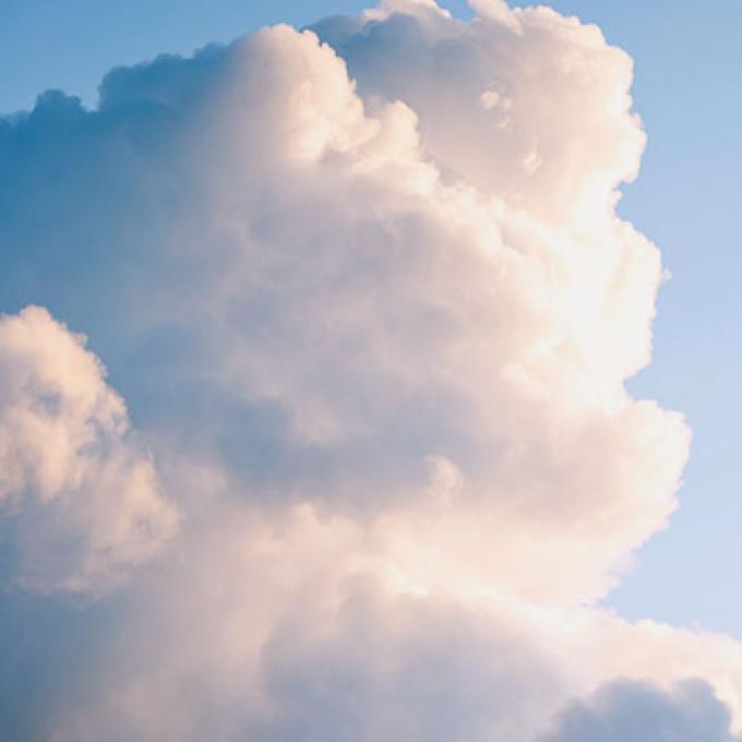 Portrait of Ross Beveridge