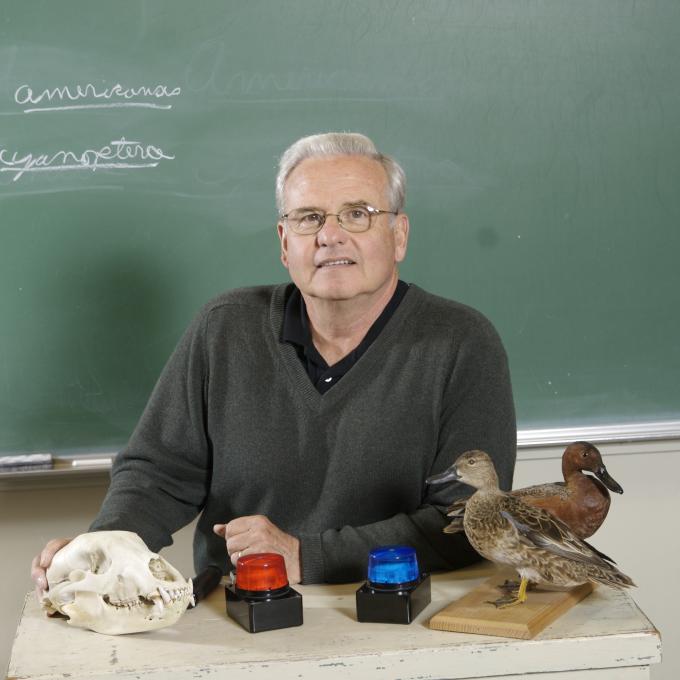 Portrait of David Kitchen