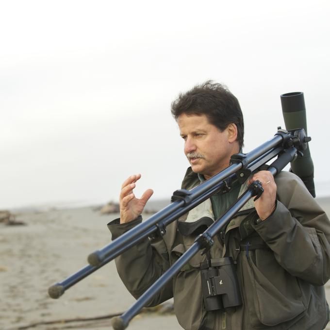 Portrait of Mark Colwell