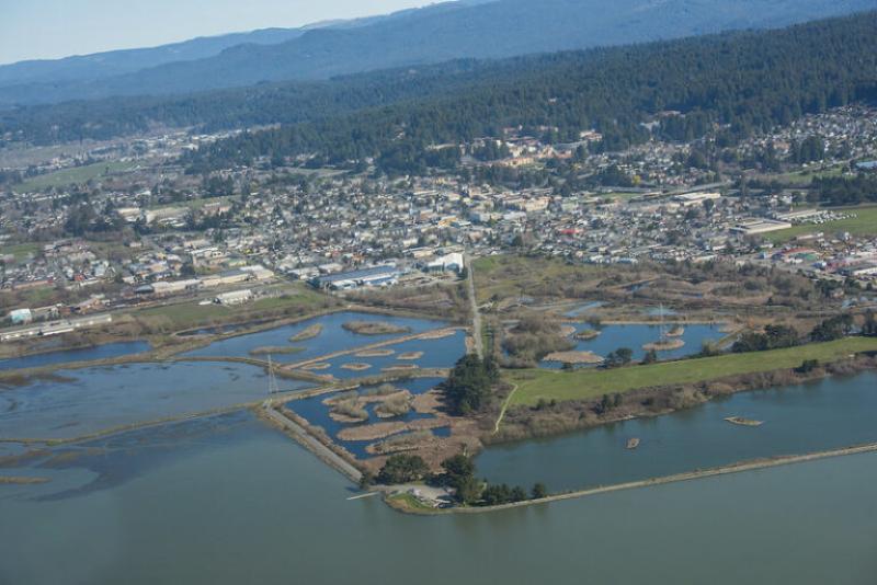 aerial view of wetlands and urban areas