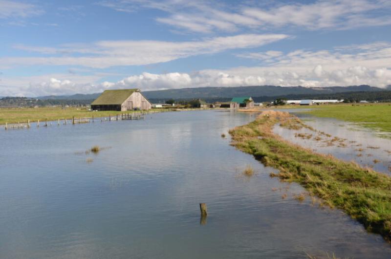 flooded agricultural lands