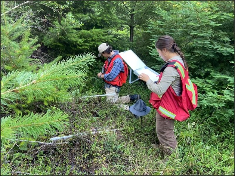 Photo of Forestry students Destiny Rivera (left) and Jacob Adelman establishing a forest carbon sample plot in the Jacoby Forest in 2022.