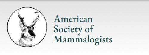 Black and Indigenous Scholars Award