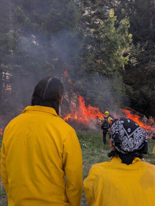 Photo of two students watching a cultural burn.
