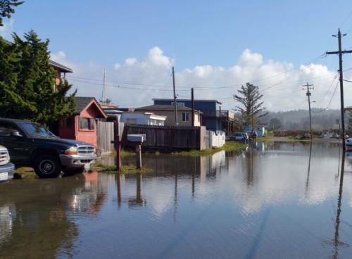 an image showing flooded streets in King Salmon