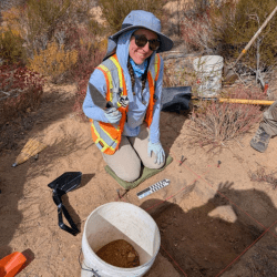 Person excavating at an archaeological site