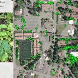 screencapture_map_image_20220615.jpg