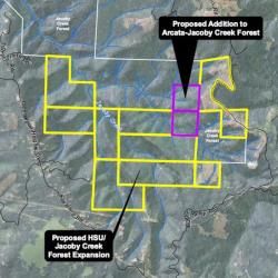 Expansion Map