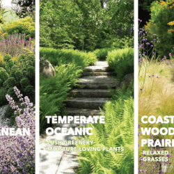 Three individual images of different types of shrubs and bushes, labeled by their description. One's text reads "Global Mediterranean: Showy, Flowering." The next shows "Temperate Oceanic: Lush Greenery, Moisture-Loving Plants." The final image reads, "Coastal Oak Woodland Prairie: Relaxed, Grasses."