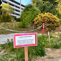 Sign in front of pocket prairie reads, "WORK IN PROGRESS: A group of students are working with faculty and grounds staff to install a, "Pocket Prairie", modeled after Californian coastal prairie ecosystems."