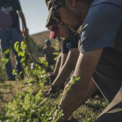 students with their hands in the soil, kneeling down in a row