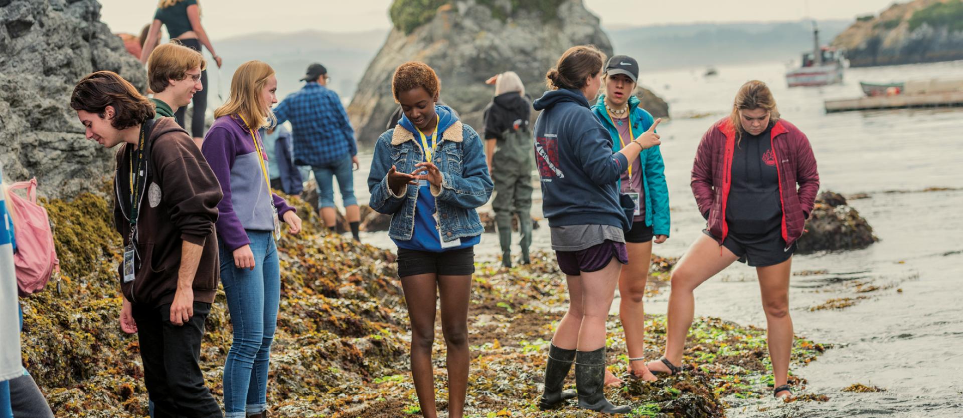 Students in tide pools