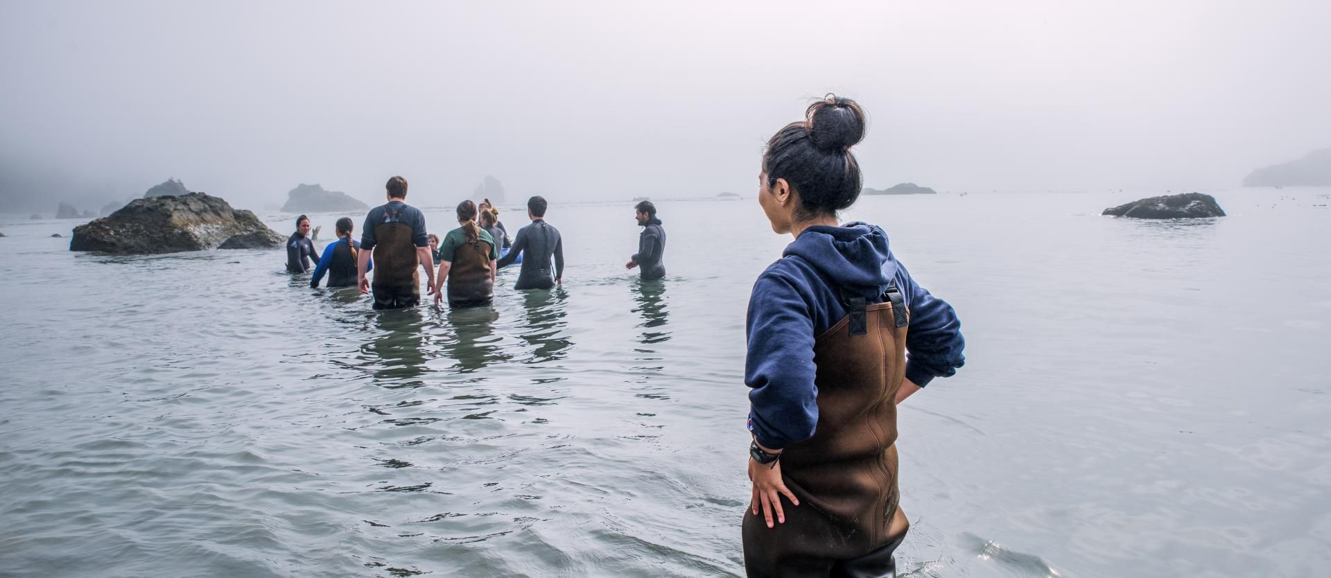 Students wading in water doing sustainability work