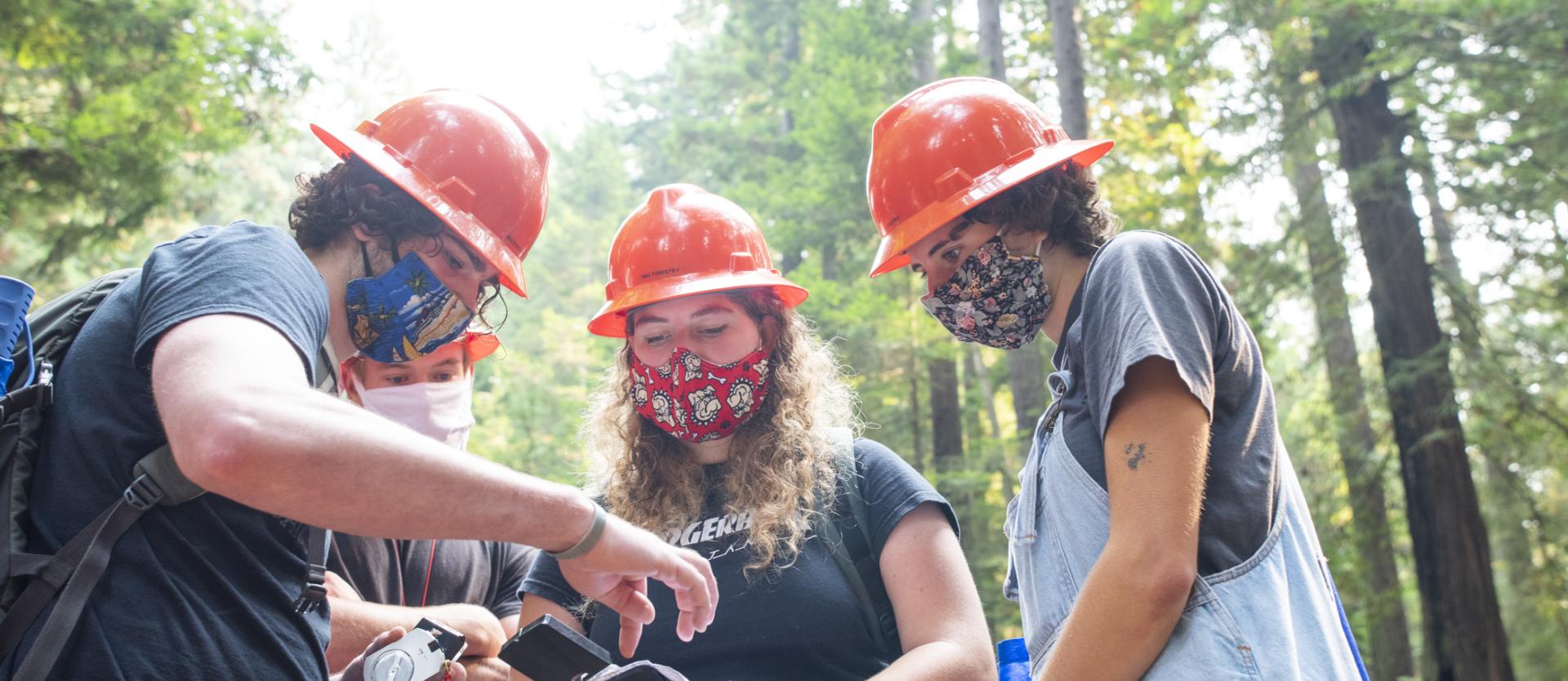 Forestry students