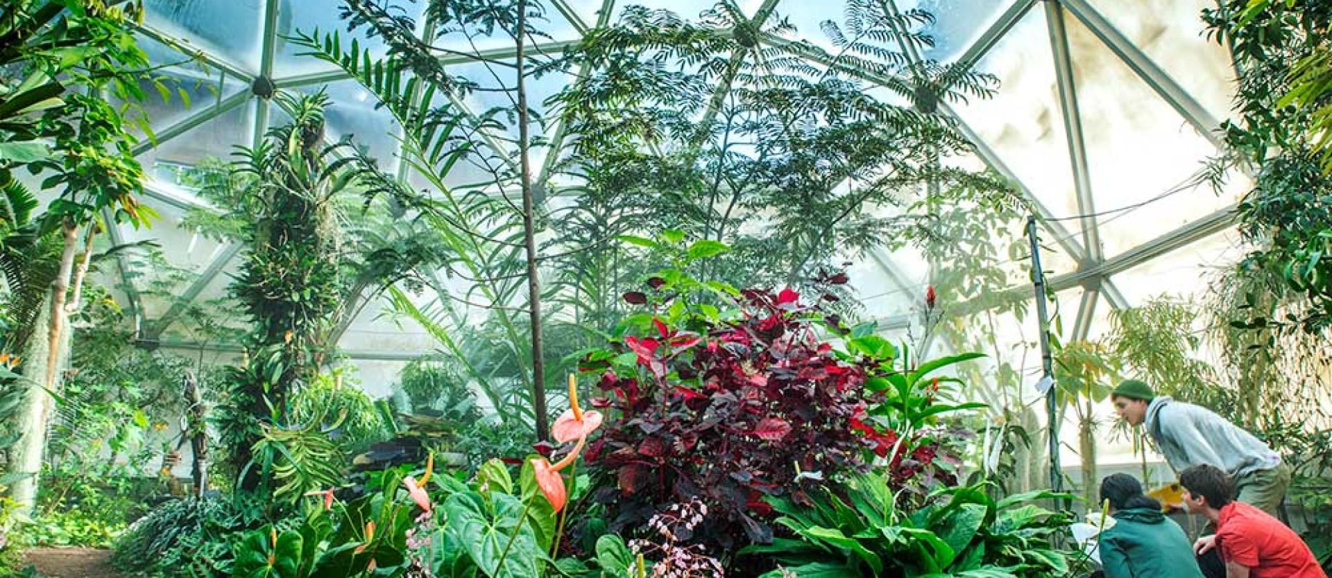 Vascular Plant Herbarium, the largest in the CSU system.
